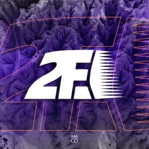 Pegatina 2FE Logo